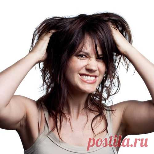 Почему чешется голова? - В здоровом теле — здоровый дух