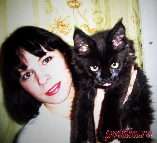 Глория - мой МЕЙН-КУН ! Подарок мужа на ДР!!