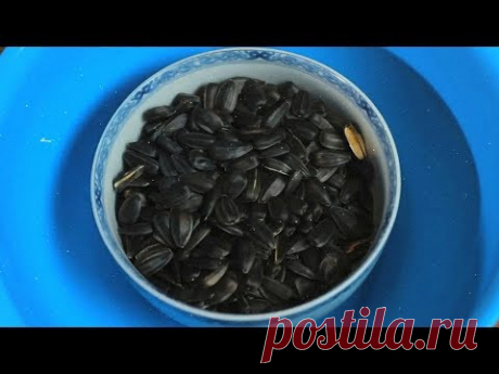 100 ЛУЧШИХ ЛАЙФХАКОВ И ИДЕИ ДЛЯ ЖИЗНИ / ЛАЙФХАКИ