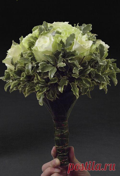 Приглашаем студентов в группу краткого подготовительного курса с 01 ноября.