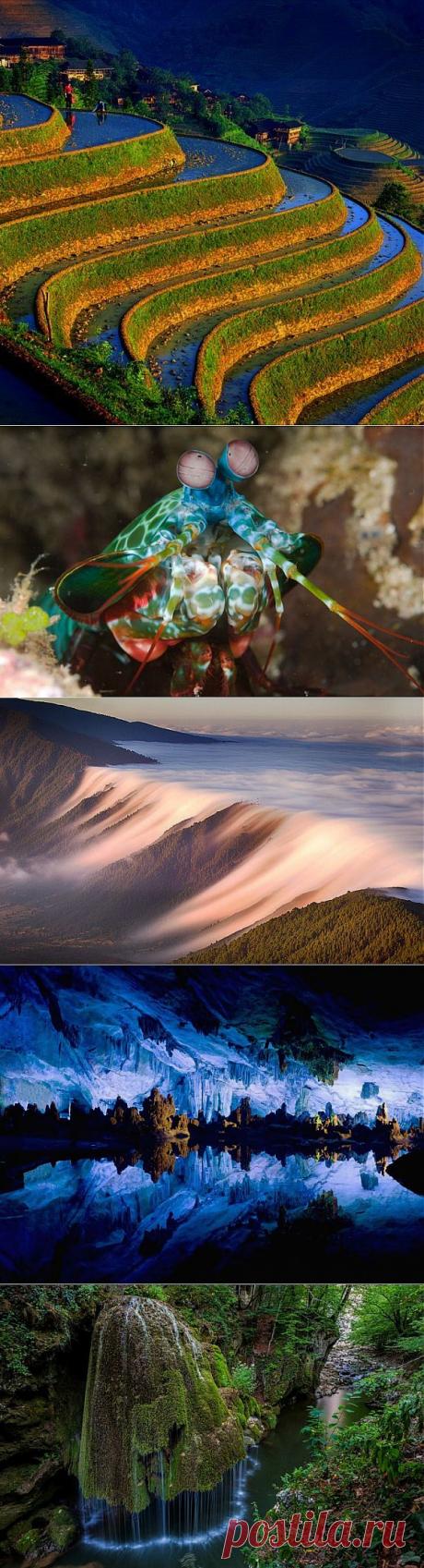 Потрясающий кадр! | НАУКА И ЖИЗНЬ