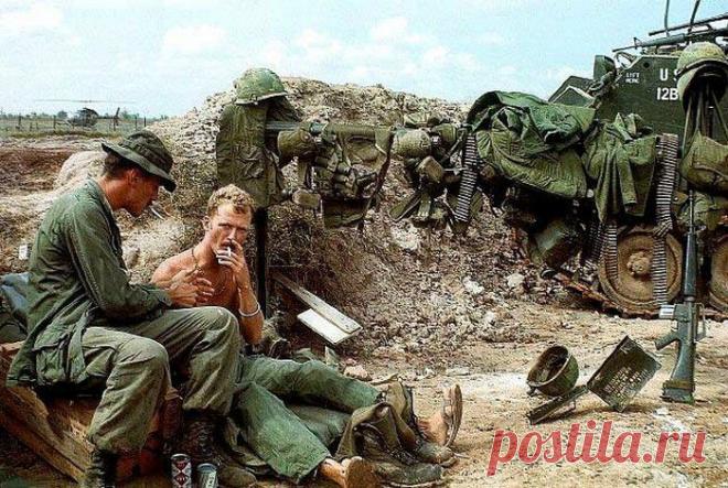 ТАЙНА ПОДЗЕМНЫХ ПАРТИЗАН (ВЬЕТНАМ ВОЙНА С США) | Все об оружии