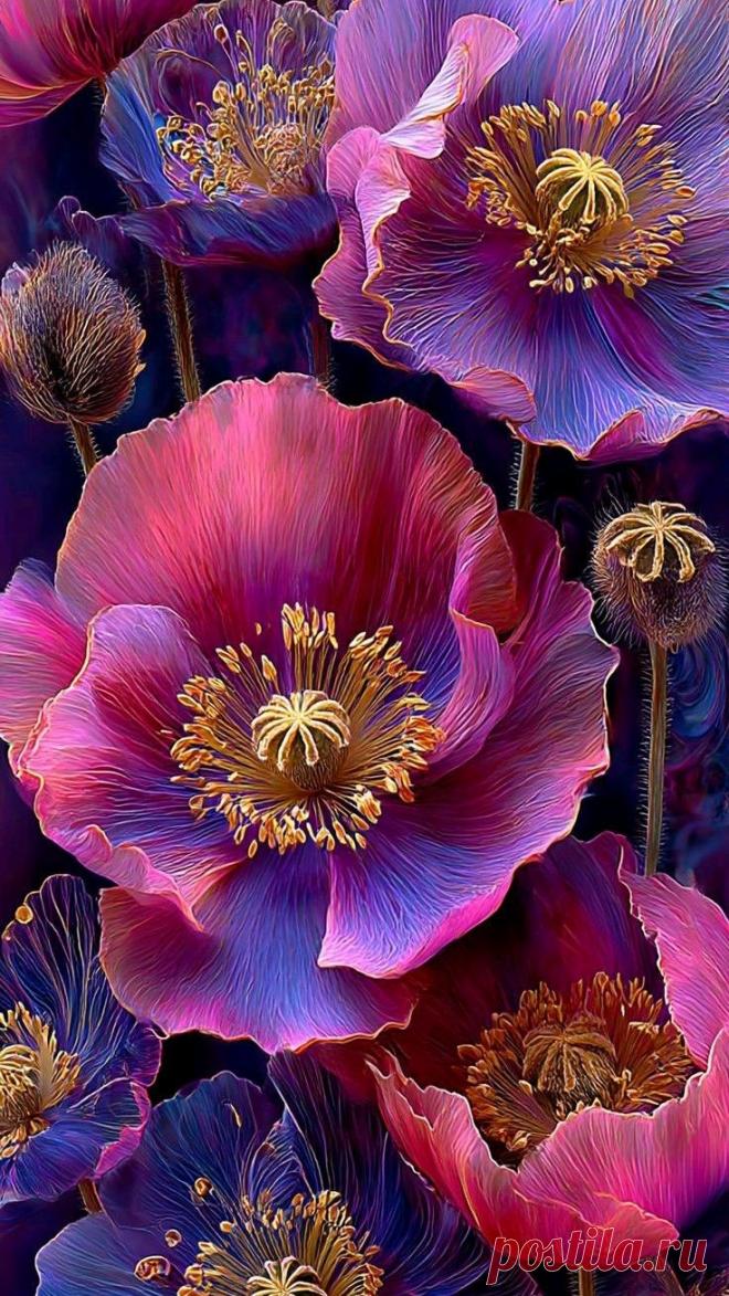 Изображение пина-истории