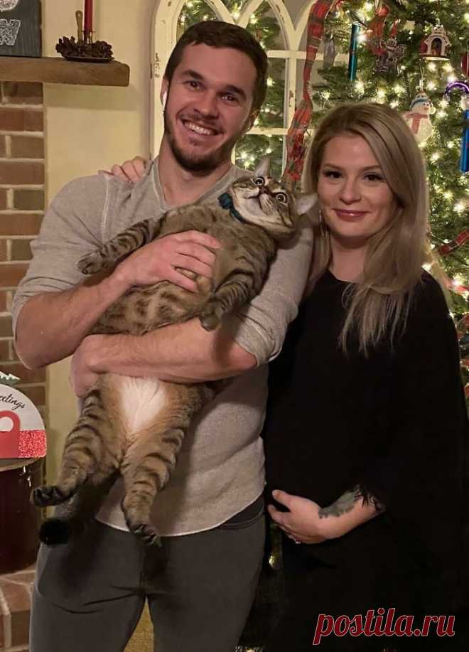 17 мохнатых Гринчей, которые не понимают радость новогодней суеты и стремятся всё испортить