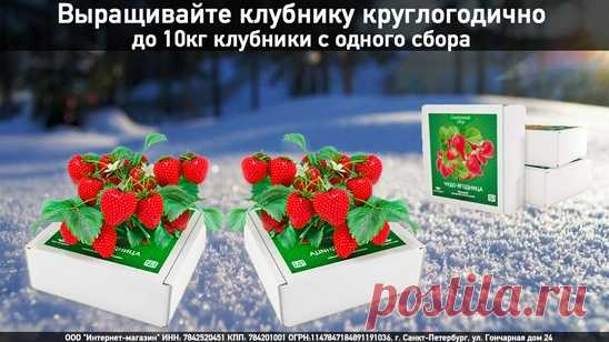 Мой Мир@Mail.Ru