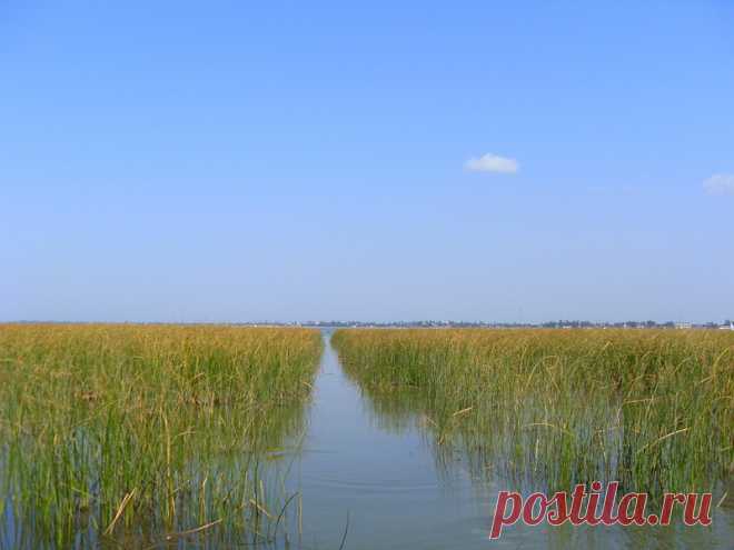 Весло, август, и лиман Ахтарский... - 28 Августа 2016 - Персональный сайт