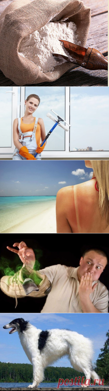 (66) Одноклассники