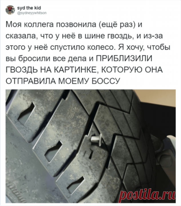 Девушка решила схитрить и не пойти на работу, но ее замысел был обречен на провал (14 фото) . Тут забавно !!!