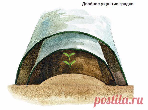 Как получить в мае уже готовые огурцы?