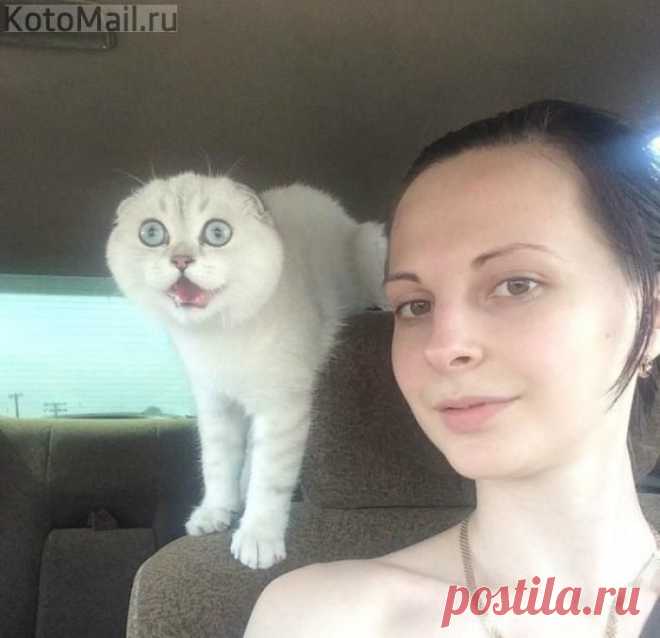 юмор | KotoMail.ru