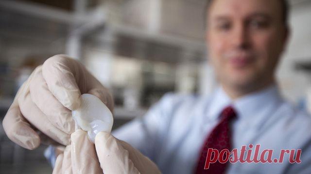 Voron - Главная страница