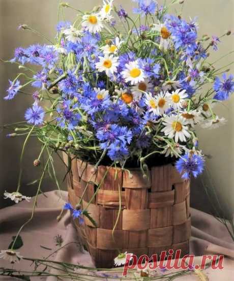 Пусть утро будем добрым,и светлым !!!…🍀🌼🌸
Пусть этот день, как добрый гость,
Несет успехи, счастье, радость,
Чтоб обязательно сбылось
Все то, о чем Вам так мечталось!
