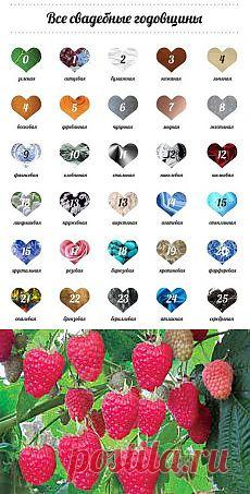 Очень нежное тесто для пирожков. и другие материалы. Новое в Вашей подборке на Постила.ru - hyanhe@mail.ru - Почта Mail.Ru