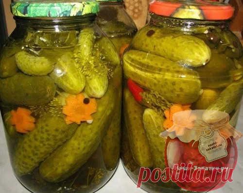 Очень вкусными оказались маринованные сладкие огурцы. Рецепт на зиму довольно прост, а вариантов целых семь – их сможет закатать каждая хозяйка. Например, сладкие без стерилизации, иди зеленцы в кисло-сладком маринаде. А еще бесподобный вкус у закатки с перцем в маринаде с луком. Пальчики оближешь!