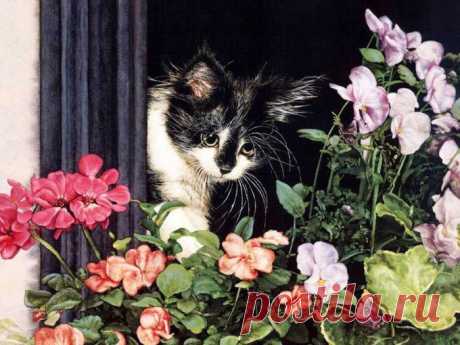 Художница Sueellen Rosse