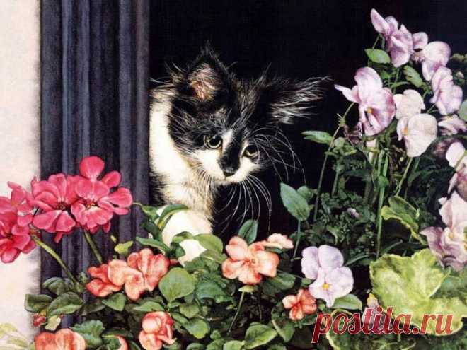 Художница Sueellen Rosse