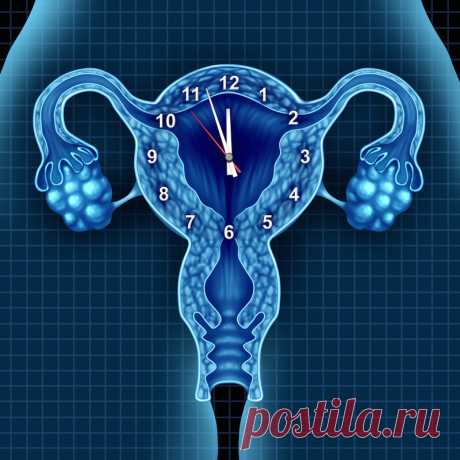 Эти 5 натуральных средств помогут справиться с проявлениями климакса