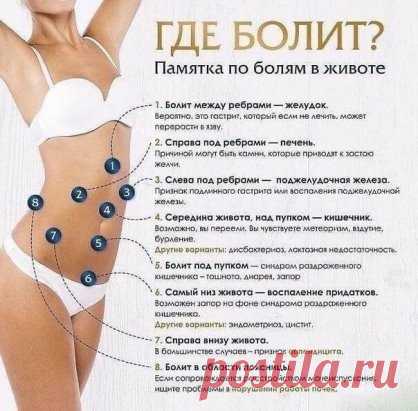 Боли в животе. Что они значат? 
*Так же для точного диагноза и лечения необходима консультация врача
