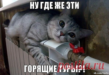 В отпуск хочу!