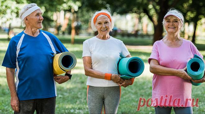 Саркопения — новое имя старого недуга | Doctorpolenova | Дзен