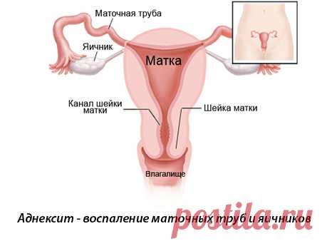 Новости - МирТесен