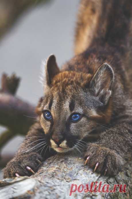 (2) Tumblr