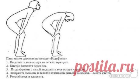 бодифлекс для живота описание упражнений: 18 тыс изображений найдено в Яндекс.Картинках