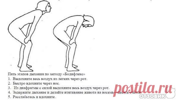 бодифлекс для живота описание упражнений: 18 тыс изображений найдено в Яндекс.Картинках