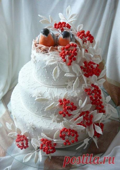 (64) Pinterest