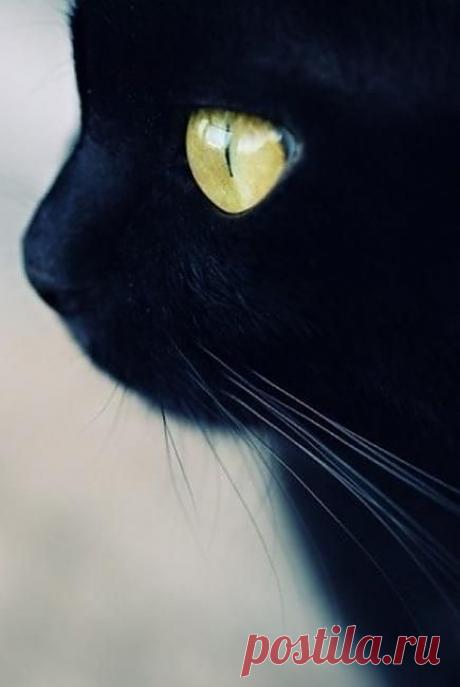 Фотомодель !