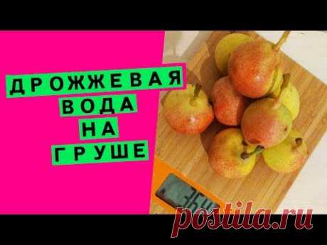 Дрожжевая вода для хлебной закваски: как сделать основу для ЛЕВИТО МАДРЕ