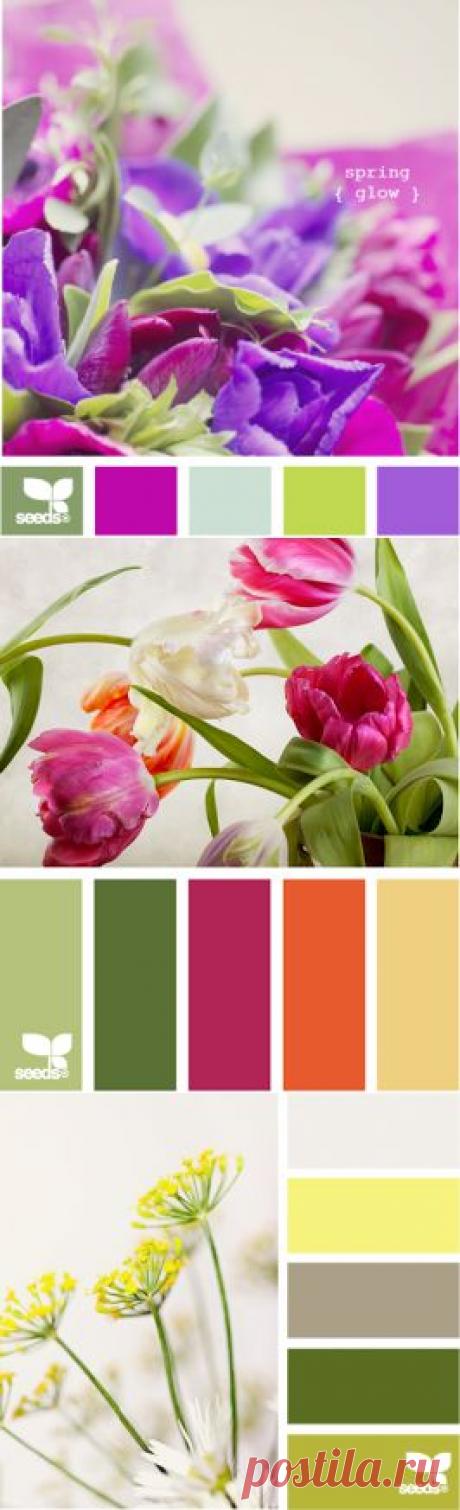 Психология цвета в дизайне цветника | Разноцветье