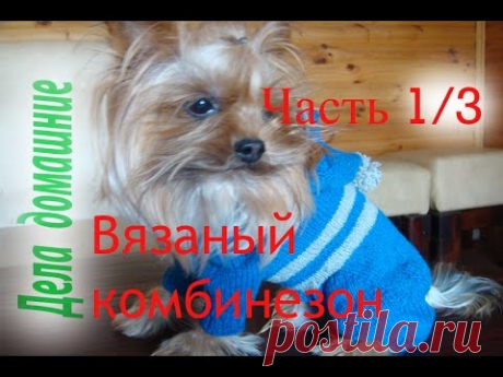 Как связать комбинезон для собаки своими руками .Часть 1