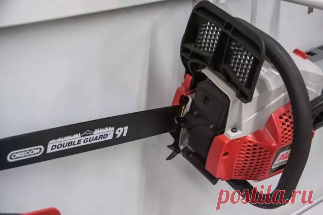 Ошибка при обрезке, из-за которой ваши деревья стареют в 3 раза быстрее: проверьте себя. Обрезка — это хирургия для растений, и она требует стерильности, точности и чувства меры.