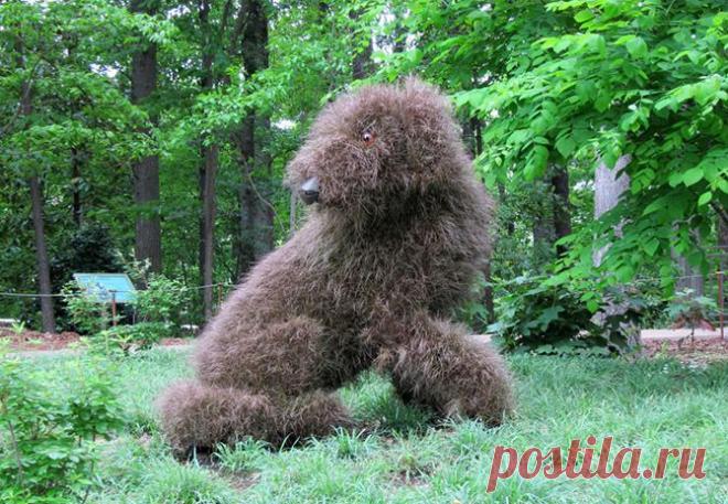 Живые гиганты ботанического сада Атланты | Хвастунишка