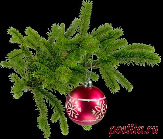 10960969.png (670×571)