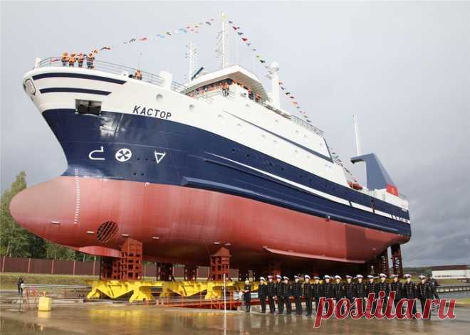 2019 сентябрь. ОАО «Ленинградский судостроительный завод «Пелла» спустил на воду рыболовецкий траулер «Кастор» — 2-е судно проекта 03095