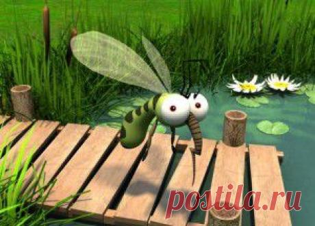 Как избавиться от комаров?