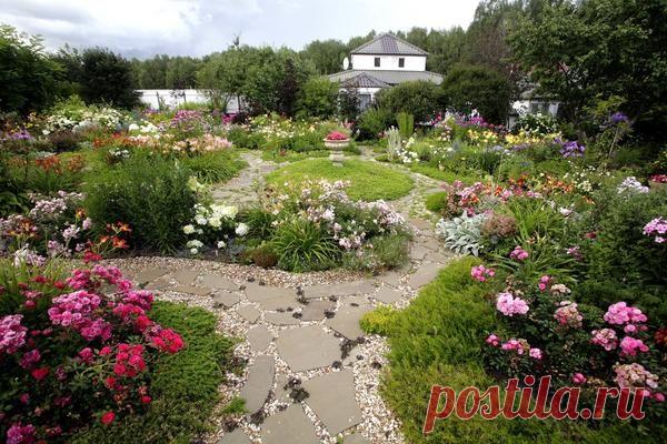 15 цветочных "спецэффектов", которые изменят ваш сад / цветы / 7dach.ru