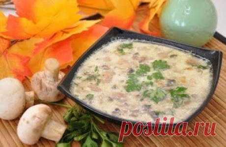 Сырный суп с грибами: простой рецепт очень вкусного блюда!