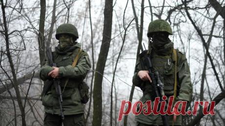 ВСУ бросили тела своих солдат на северском участке фронта