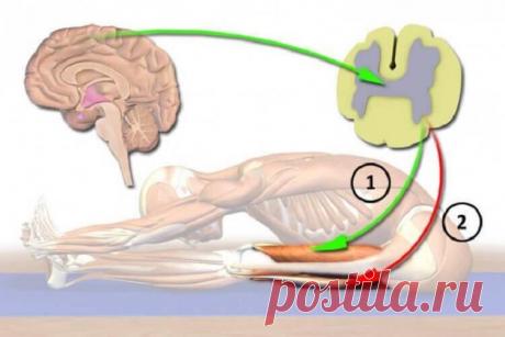 10 самых волшебных утренних упражнений