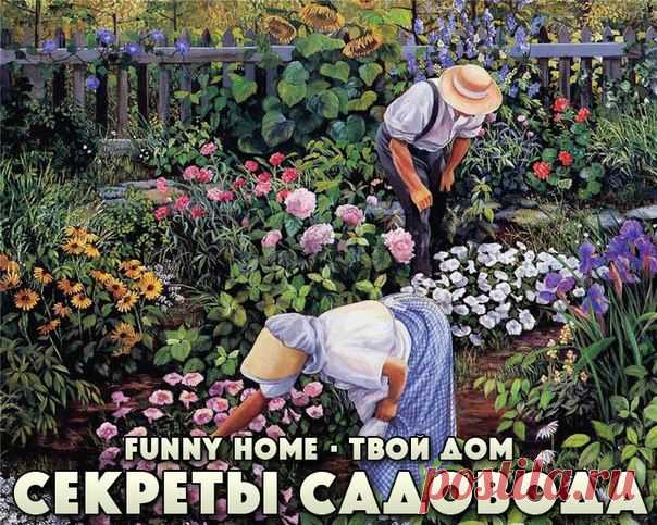 СЕКРЕТЫ САДОВОДА.