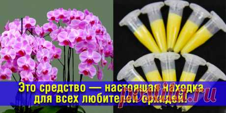 Это средство — настоящая находка для всех любителей орхидей! Чрезвычайно пышное цветение… | Полезные советы
