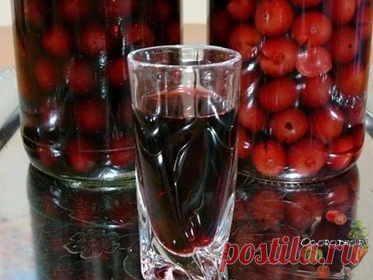 ГОТОВИМ НАЛИВКУ «ЧЕТЫРЕ НА ЧЕТЫРЕ» 4 стакана сахара 4 стакана воды 4 стака...