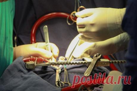 Имплант вернул парализованному мотоциклисту способность ходить Швейцарские ученые создали имплант, который впервые вернул способность ходить человеку с разрывом спинного мозга. В разработке принимали участие представители Швейцарского федерального технологического института и Университетской больницы Лозанны, сообщает&nbsp;Nature Medicine.Первым...