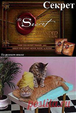 Секрет) | ОБОРЖАКА ;)