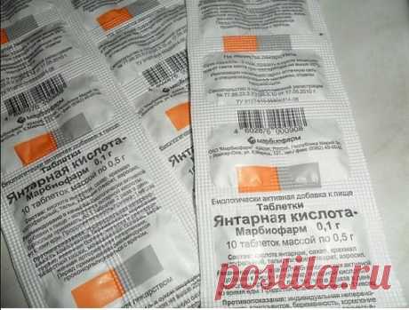 СТИМУЛЯТОР РОСТА ДЛЯ ЦВЕТОВ

Продавец в цветочном магазине однажды уговорил меня купить янтарную кислоту: мол, это средство удивительно стимулирует рост растений и переборщить с ним невозможно.