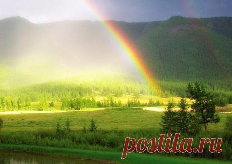 Плейкаст «Я давно не считаю года...»