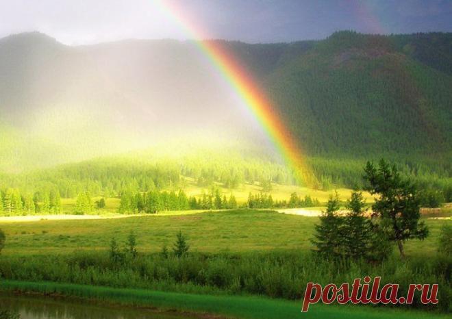 Плейкаст «Я давно не считаю года...»